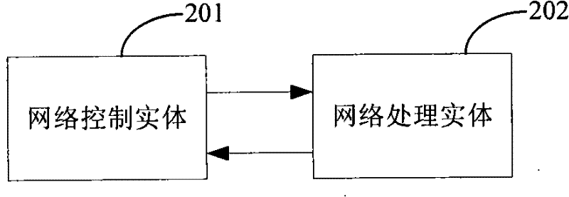 Parameter processing method, network processing entity and network control entity