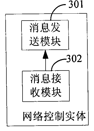 Parameter processing method, network processing entity and network control entity