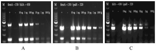 Primer set, kit and detection method for multiplex PCR detection of three types of pathogenic bacteria in food