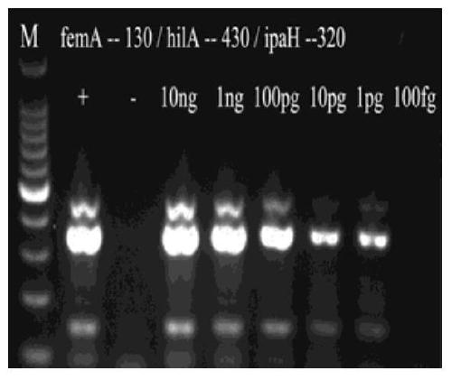 Primer set, kit and detection method for multiplex PCR detection of three types of pathogenic bacteria in food