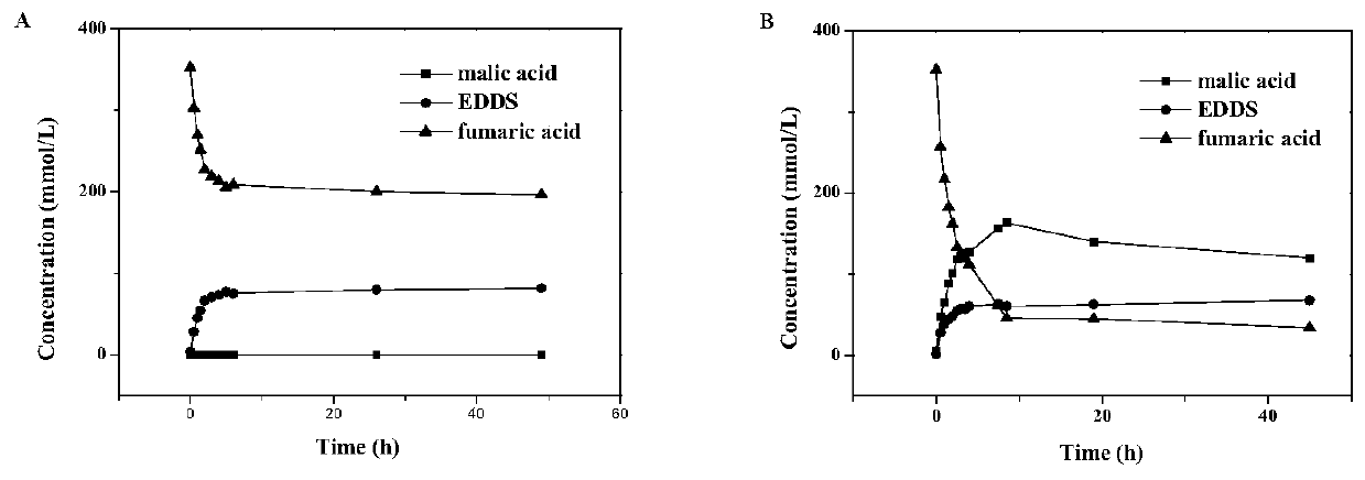 Preparation method and application of EDDS lyase immobilized enzymes