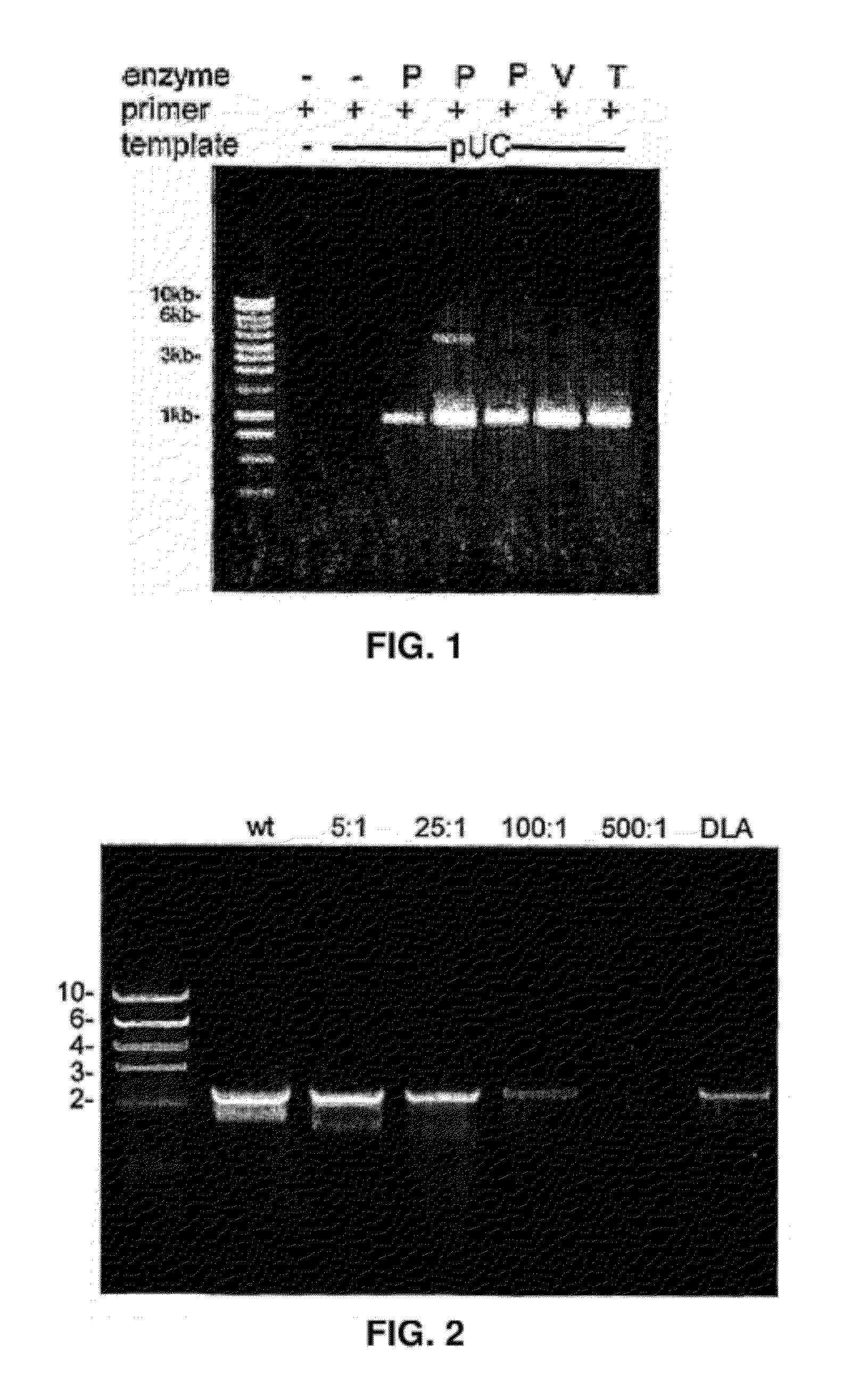 Thermostable DNA polymerases and methods of use