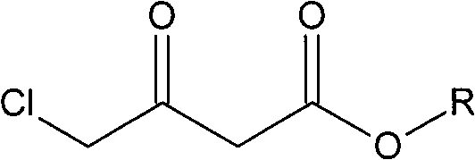 Method for preparing oxiracetam