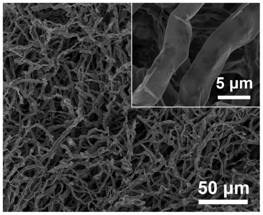 A kind of sulfur-rizopus mycelium spherical carbon/metal oxide composite material and its preparation method and application