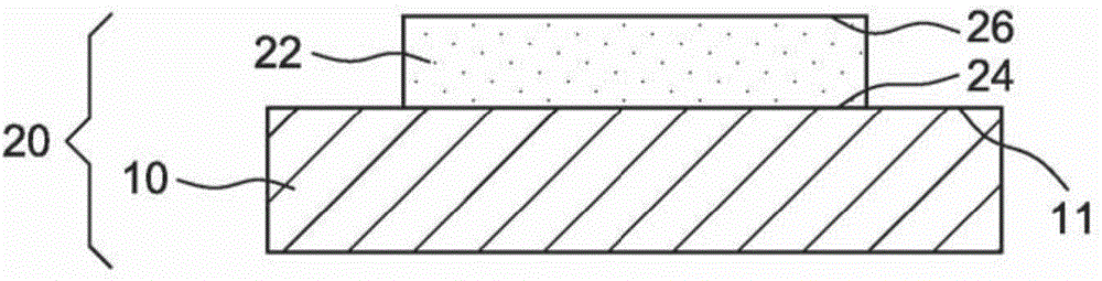 Spin injector device comprising a protection layer at the centre thereof