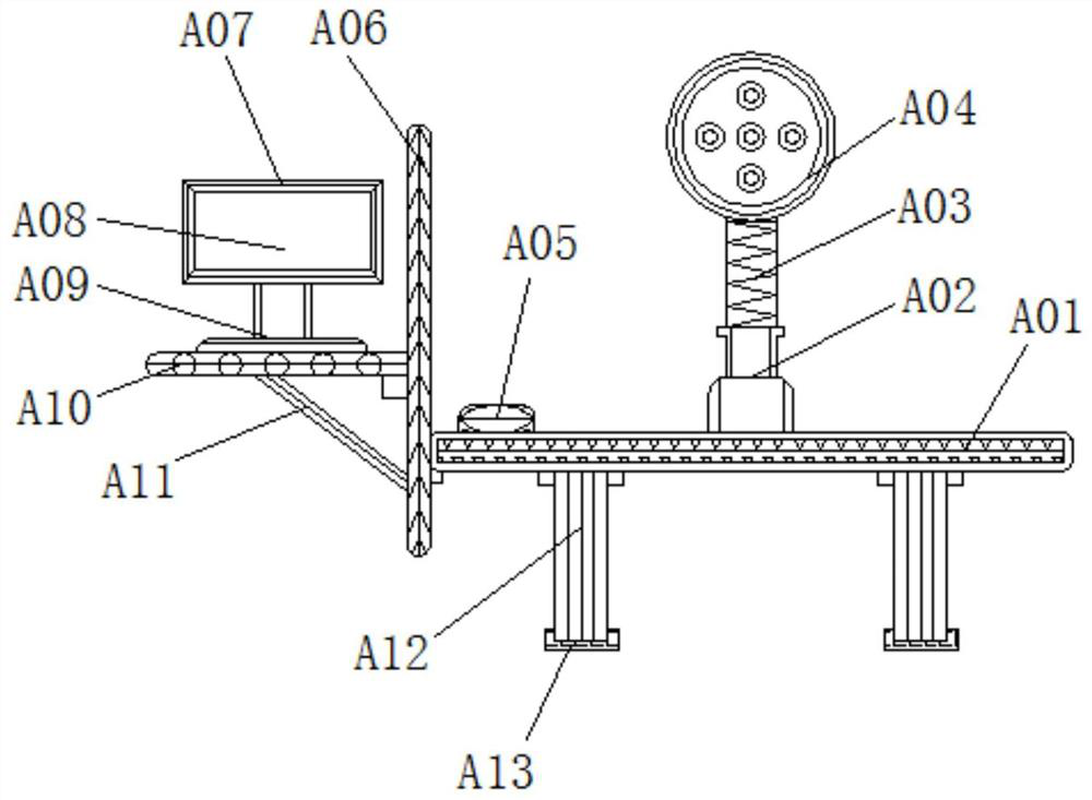 Chest X-ray display device with adjusting mechanism