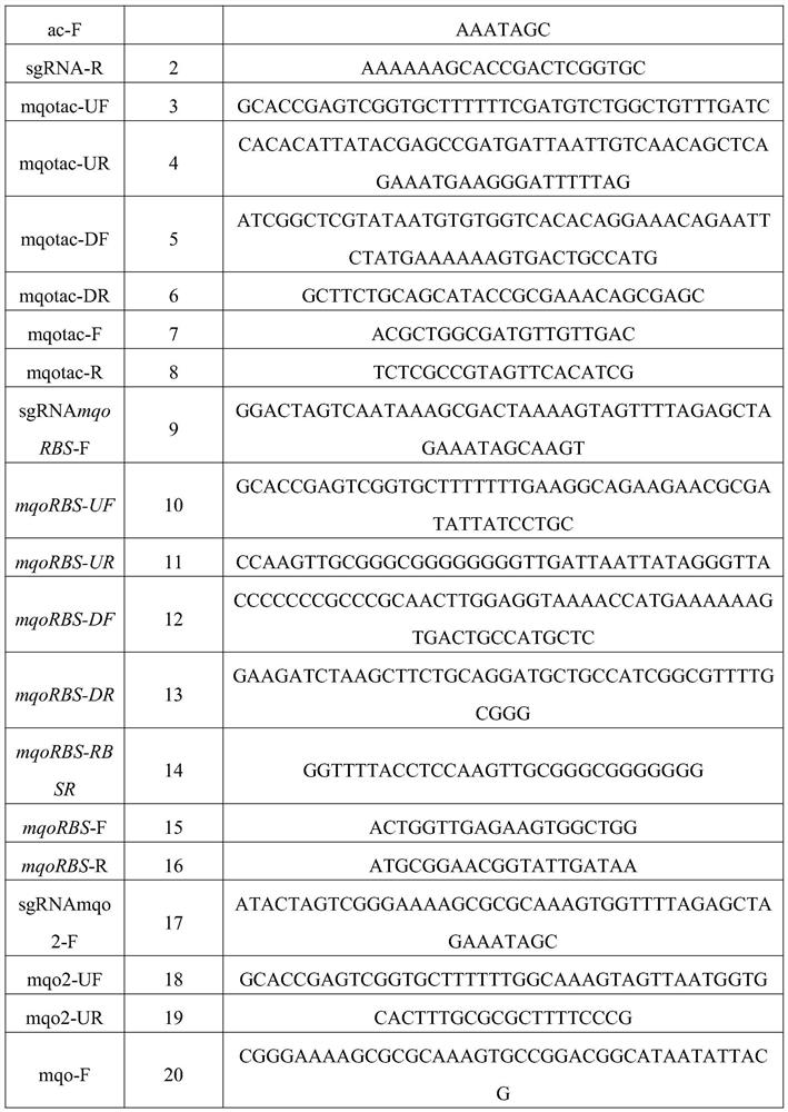 Construction of threonine production strain and method for producing threonine