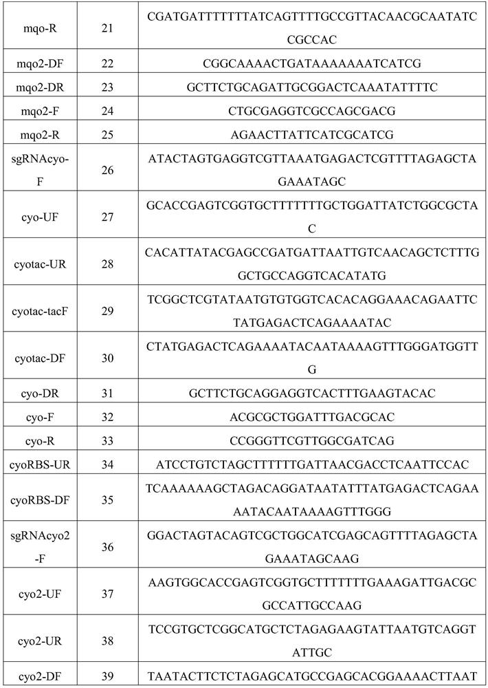 Construction of threonine production strain and method for producing threonine