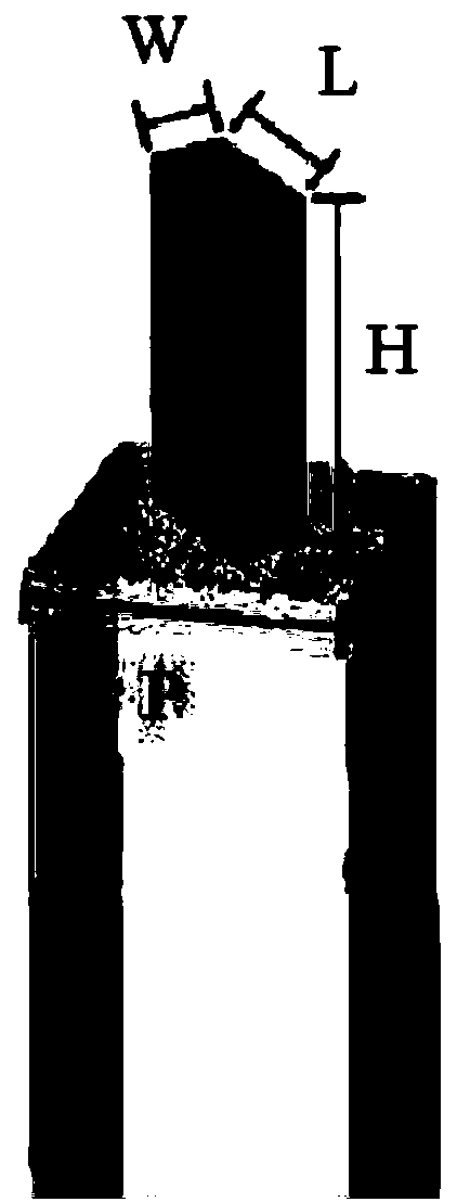 Optical fiber coupler based on circular polarization, and manufacturing and use methods thereof