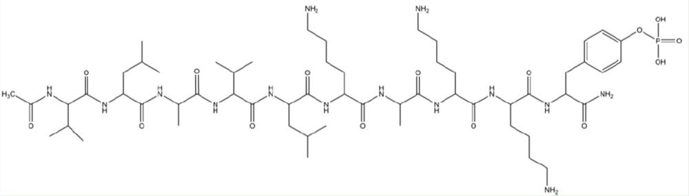 Small molecule peptide as well as preparation method and application of small molecule peptide as nano drug carrier