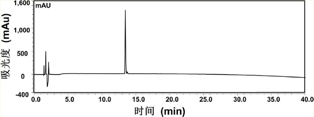 Small molecule peptide as well as preparation method and application of small molecule peptide as nano drug carrier