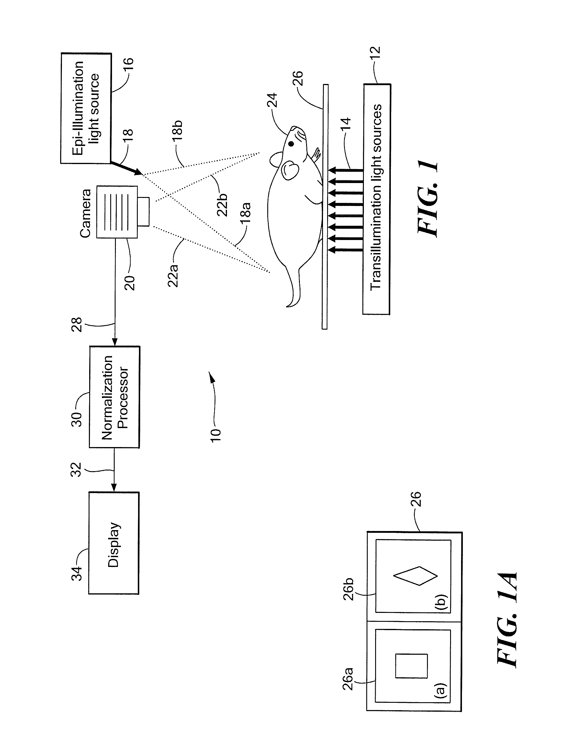 System and Method for Normalized Diffuse Emission Epi-illumination Imaging and Normalized Diffuse Emission Transillumination Imaging