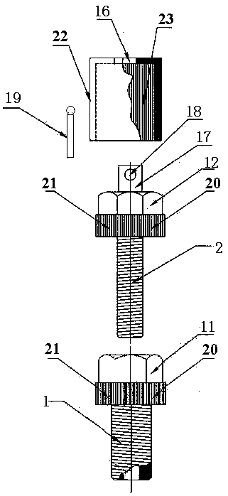 Allogenic different-diameter reverse-screwing bolt fastening assembly capable of never being loose