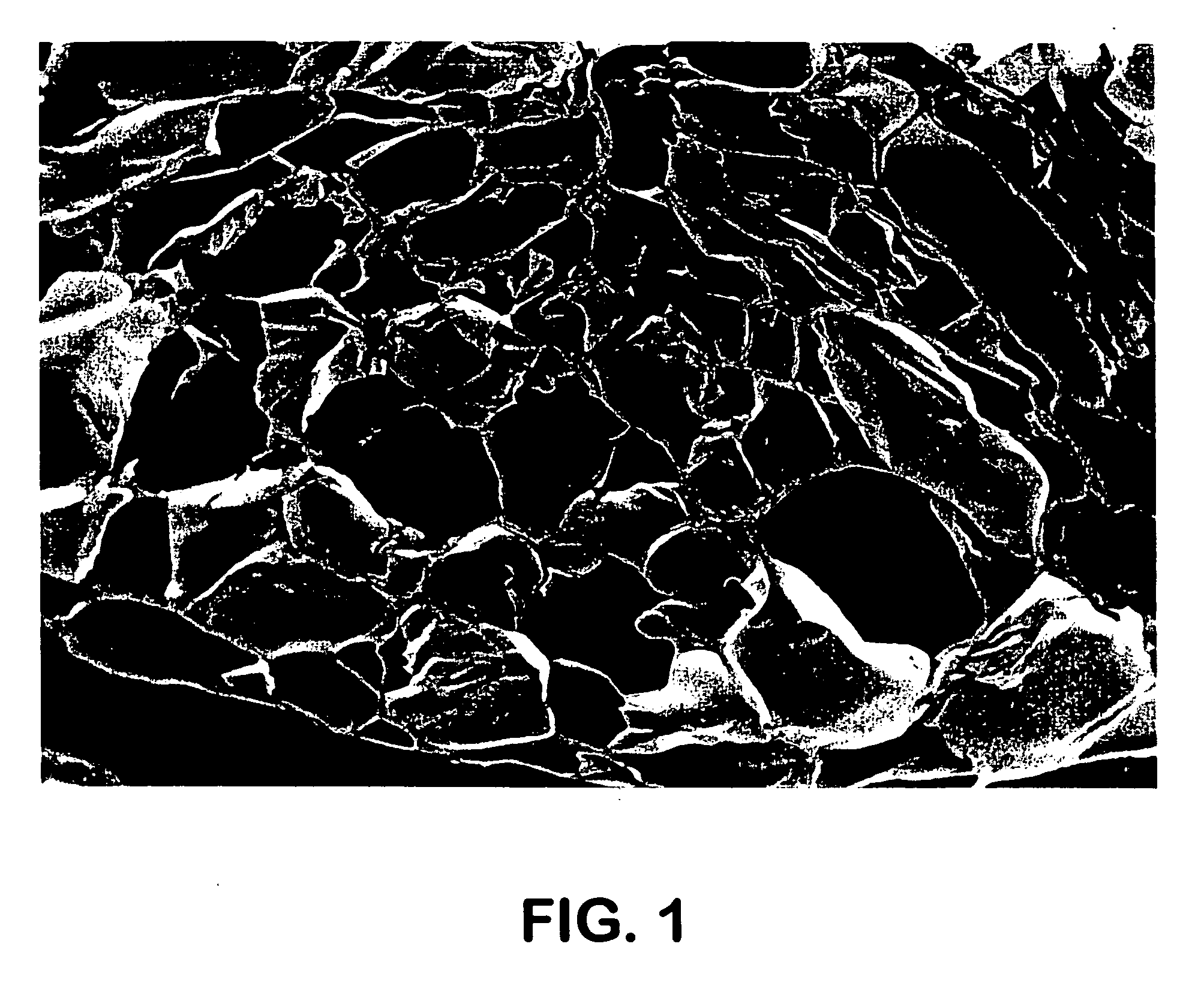 Low-density, open-cell, soft, flexible, thermoplastic, absorbent foam and method of making foam