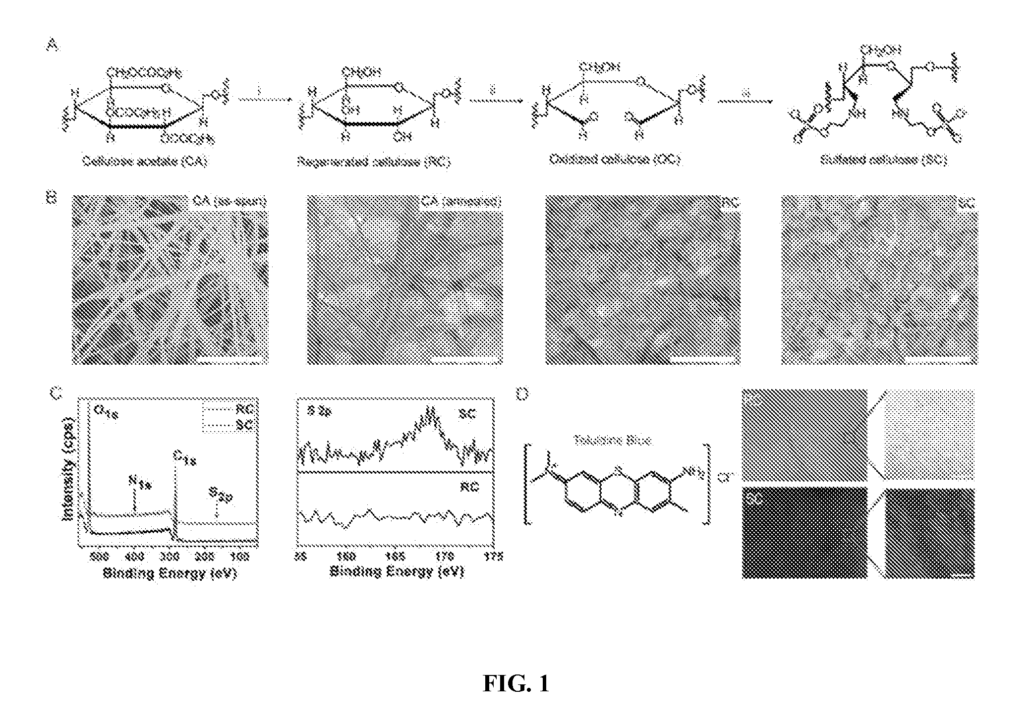 Chemically modified cellulose fibrous meshes for use as tissue engineering scaffolds