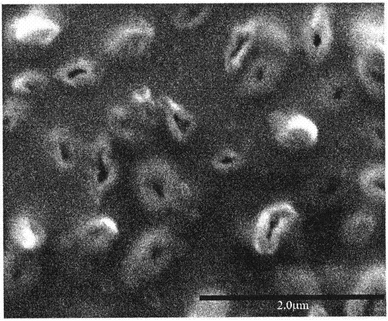 Preparation method for low excitation photochromic MoO3 censphere film