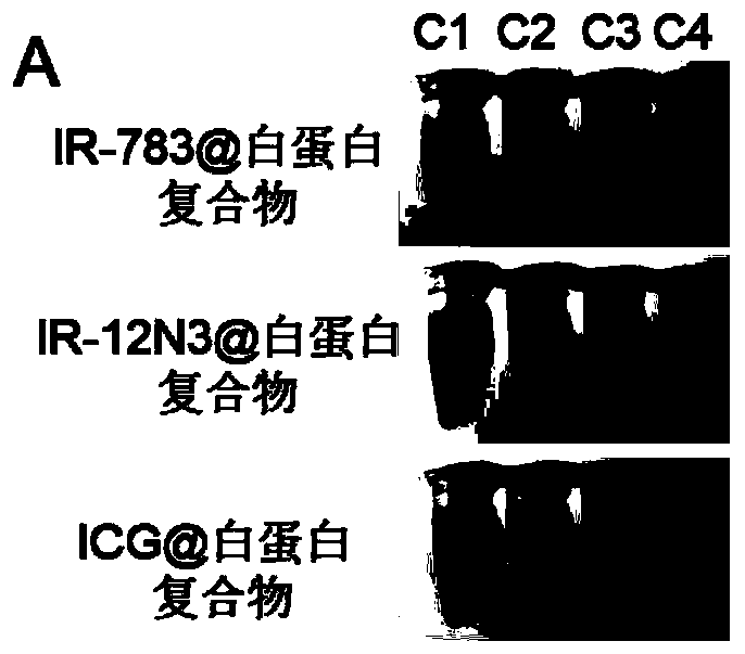 Functional protein and cyanine dye molecule compound and preparation method and application thereof