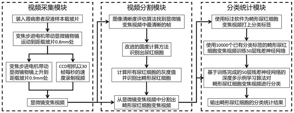 A kind of abnormal urine red blood cell classification statistical method and system