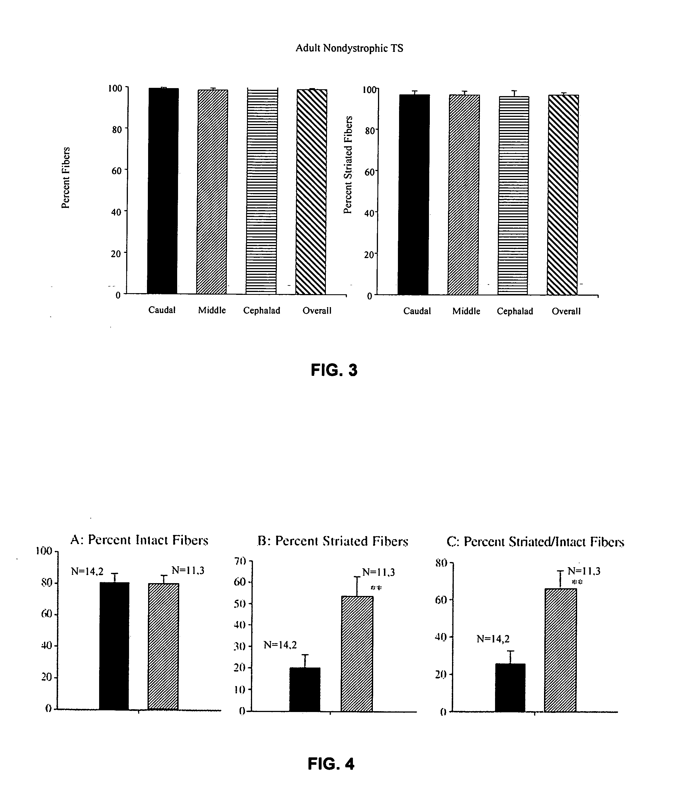 Compositions and methods for the treatment of muscular dystrophy