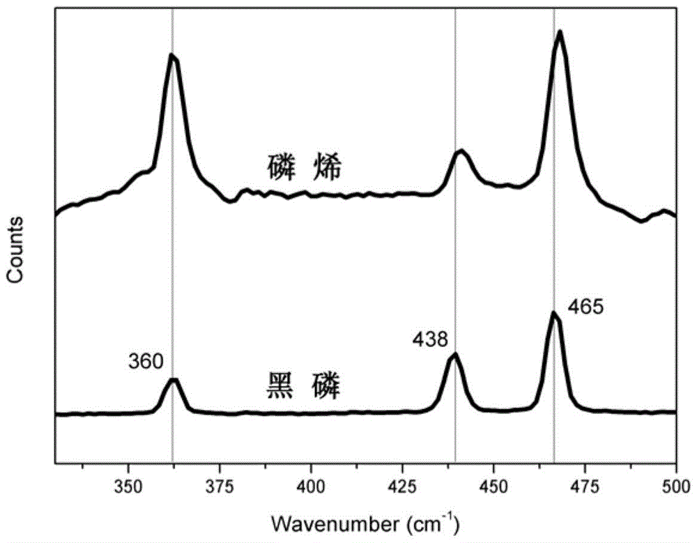 A kind of method utilizing electrochemistry to prepare phosphorene