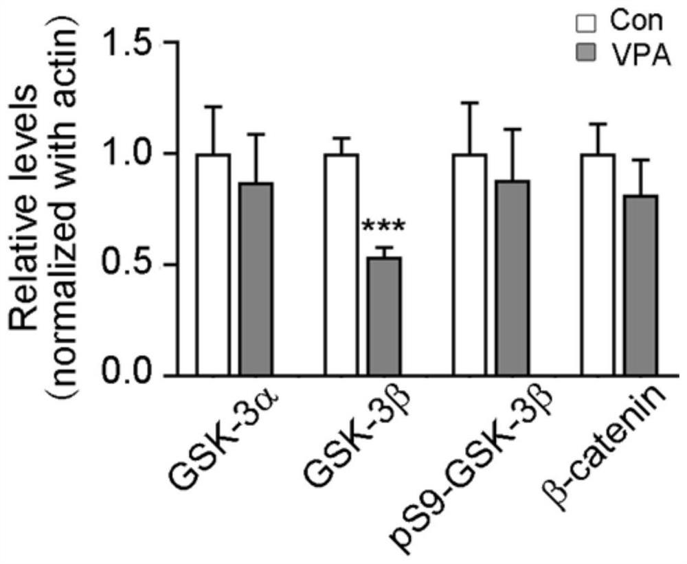 Application of GSK-3beta as a blood marker in preparation of mental disorder early-diagnosis reagent