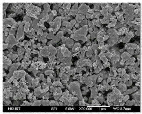 A kind of preparation method of lithium iron phosphate electrode