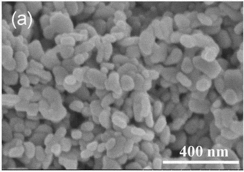 Copper molybdate nanoparticle and preparation method and application thereof