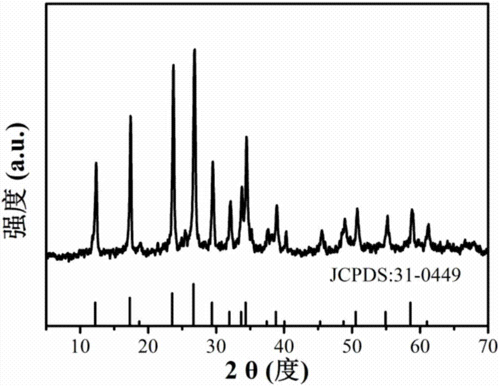 Copper molybdate nanoparticle and preparation method and application thereof