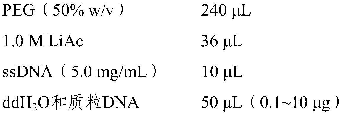 Tobacco KUP2 gene and applications thereof