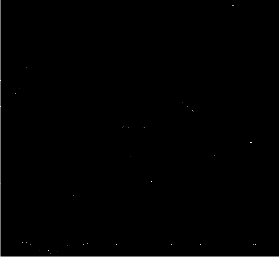 Fish skin collagen support loading epidermal growth factors and preparation method thereof