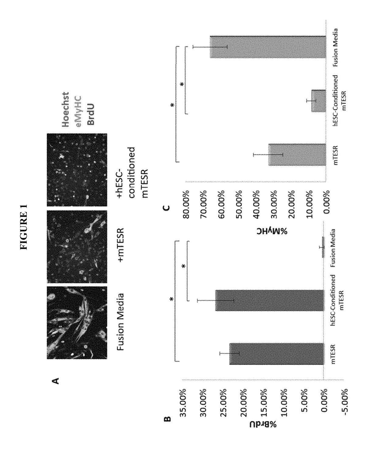 Methods and compositions for somatic cell proliferation and viability