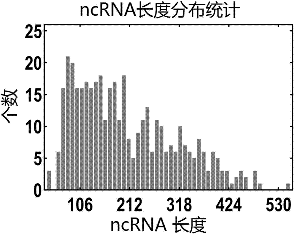 Bacteria ncRNA prediction method based on Illumina transcriptome sequencing data and PeakCalling method