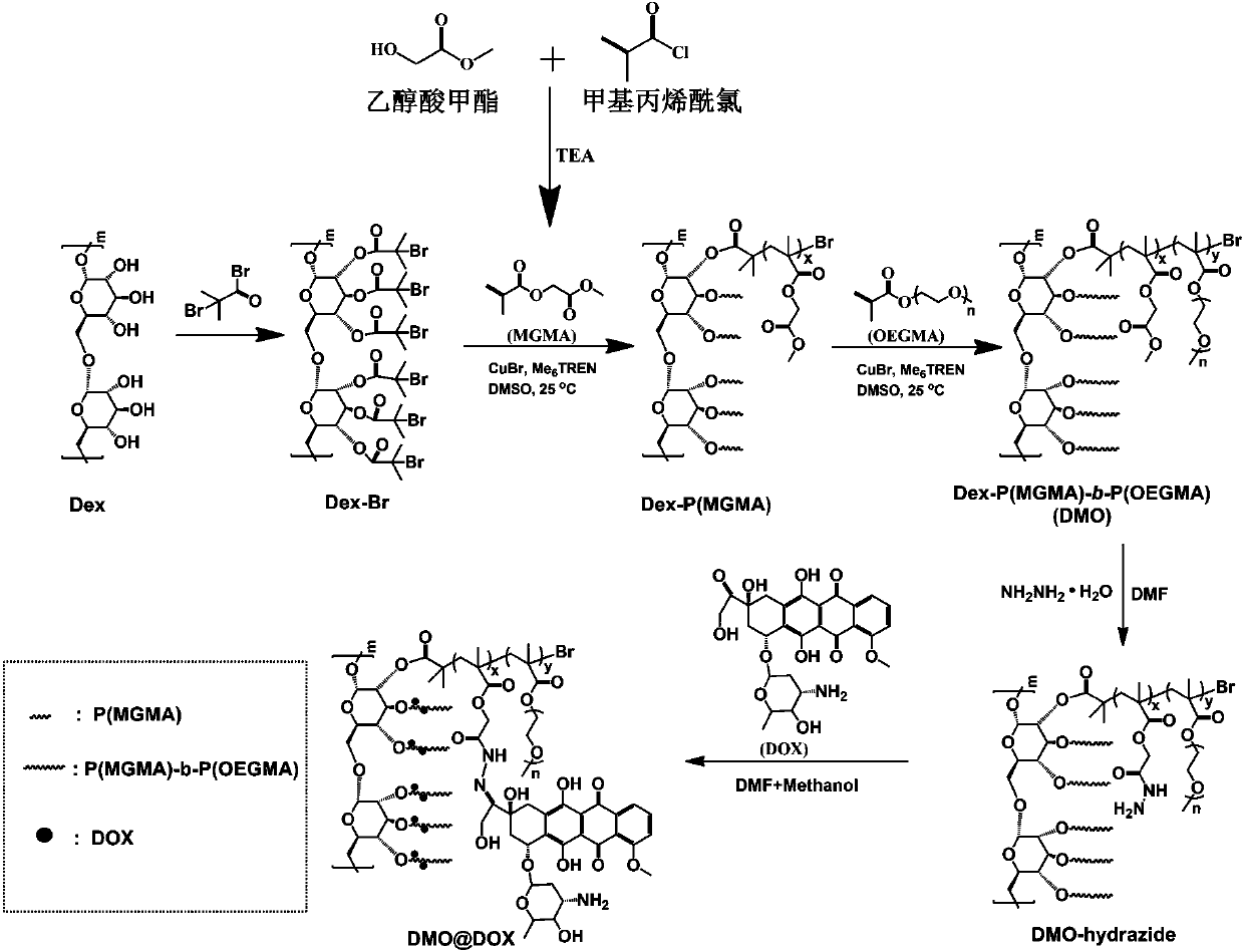 Preparation method of a class of pH-responsive amphiphilic rod-shaped doxorubicin polymer prodrug