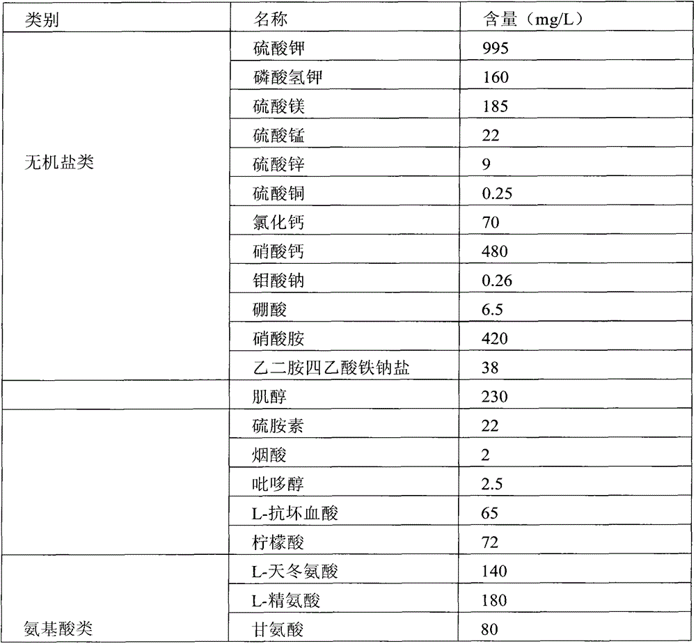 Preparation method of oat stem cell beer