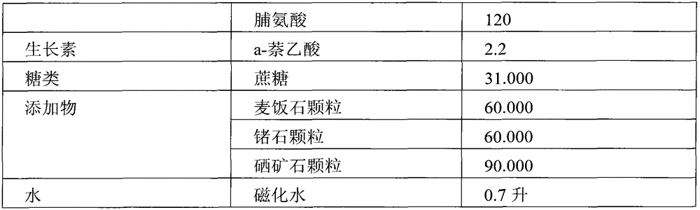 Preparation method of oat stem cell beer