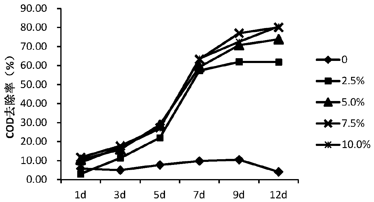 A kind of compound microbial living bacteria preparation and its application in high concentration pig raising wastewater