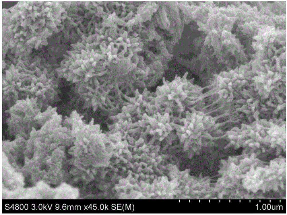 Polyaniline surface modified titanium carbide composite material and low-temperature preparation method thereof