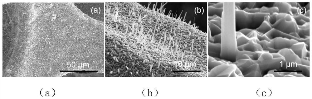 Foamy copper in-situ growth copper oxide/cuprous oxide photocatalytic material as well as preparation method and application thereof