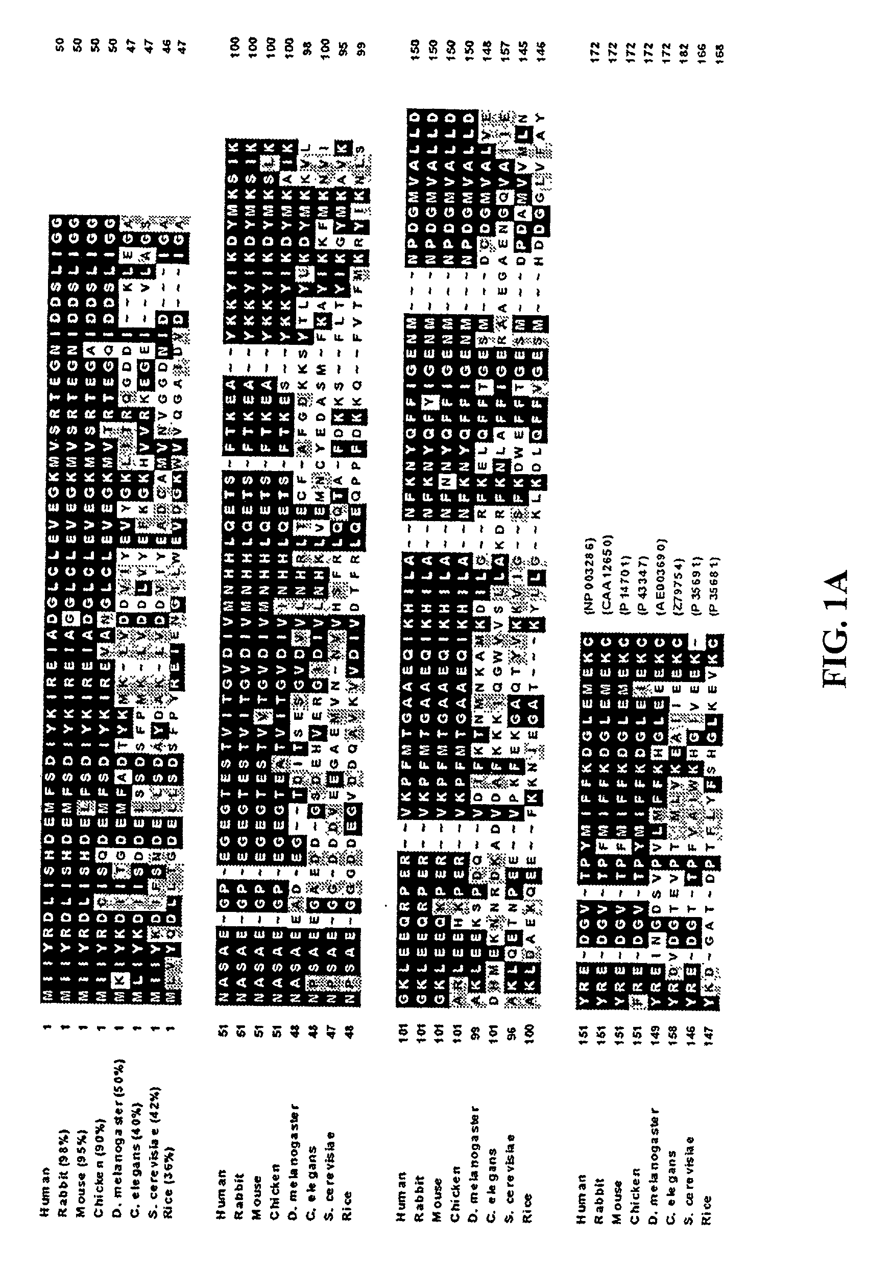 Methods and compositions relating to fortilin, an anti-apoptotic molecule, and modulators of fortilin