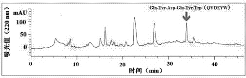 Method for preparing cervical cancer resistant polypeptide from tuna dark meat protein