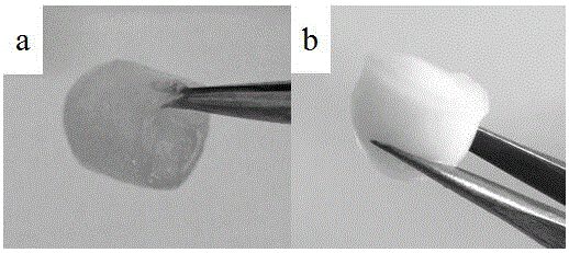 Preparation method of nanocellulose and polymer composite aerogel