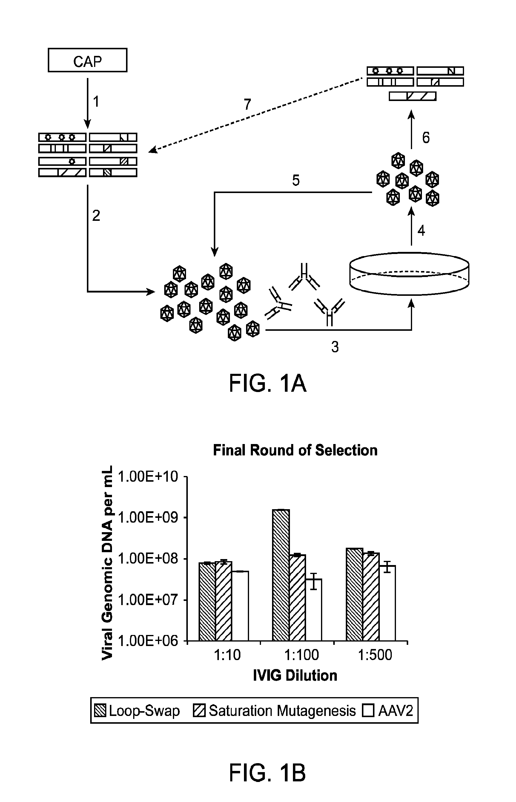 Adeno-associated virus variants and methods of use thereof