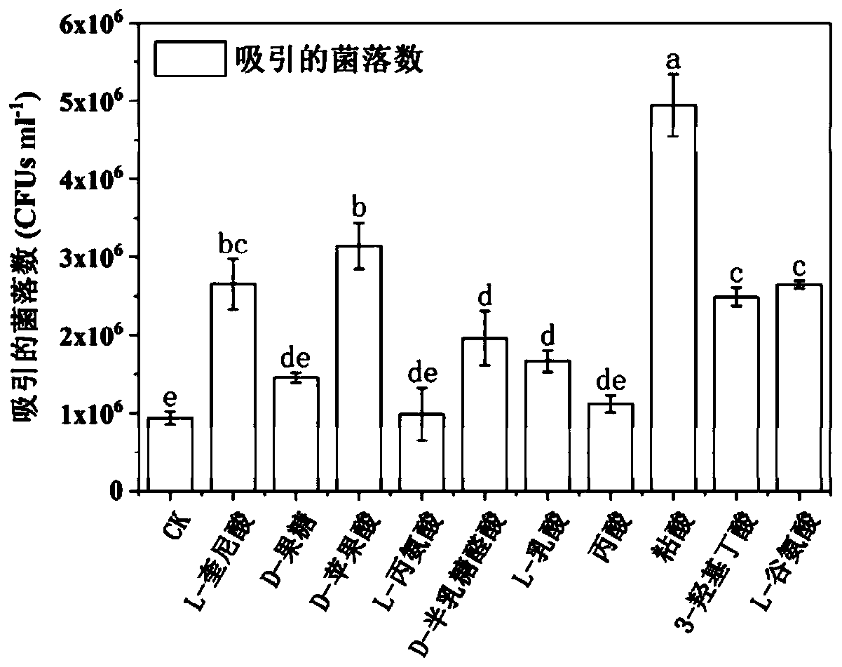 Method of promoting colonization of delftia tsuruhatensis at plant rhizospheres