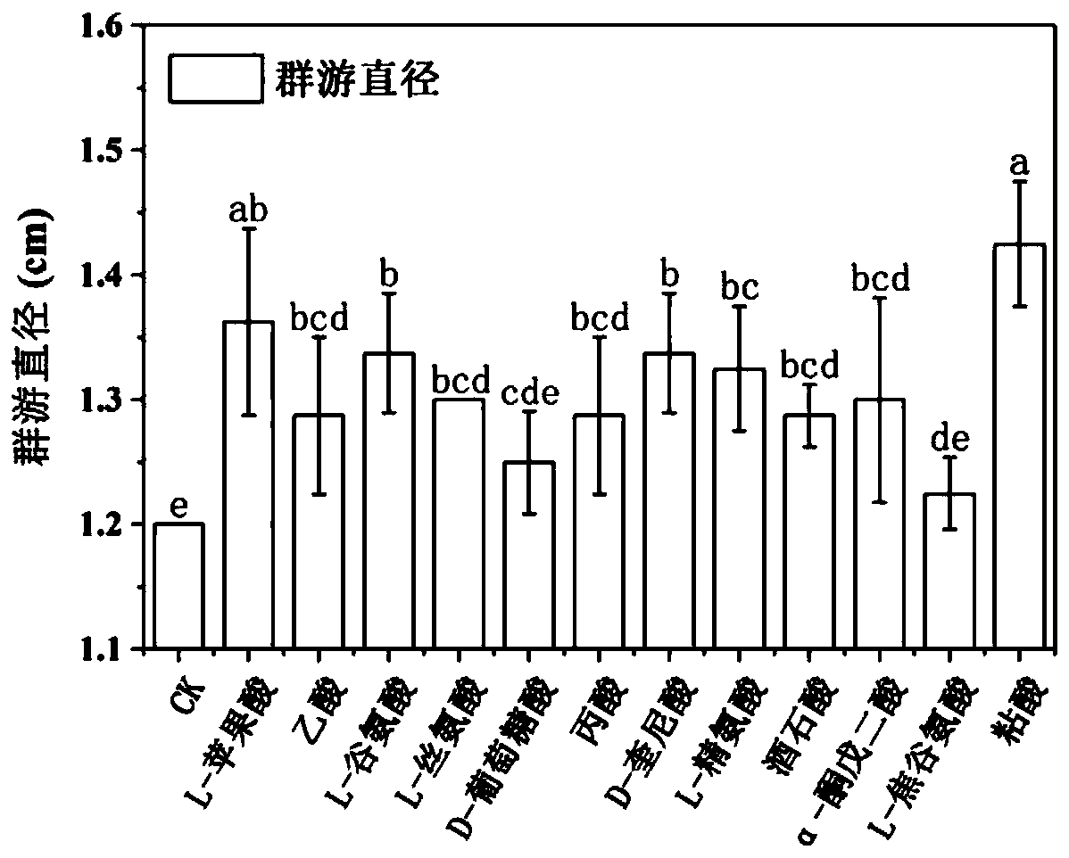 Method of promoting colonization of delftia tsuruhatensis at plant rhizospheres