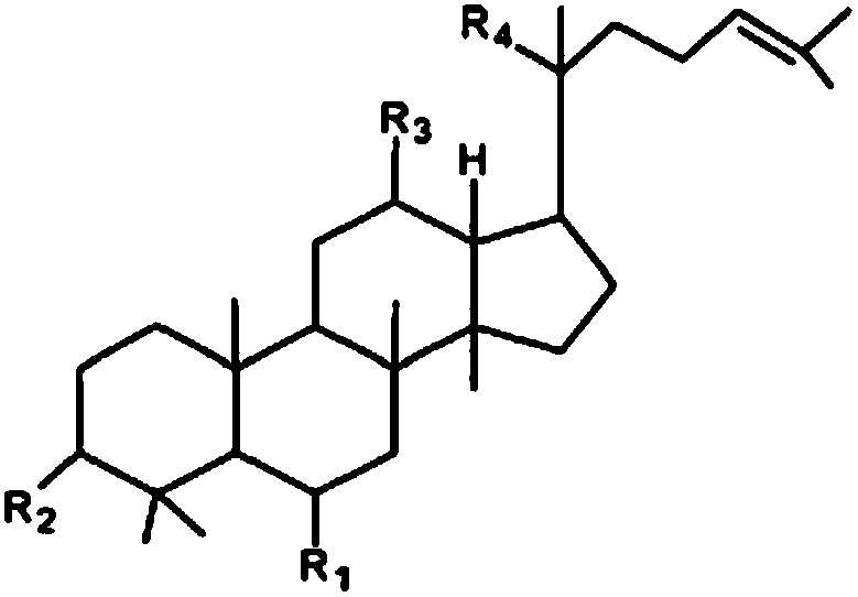 Skin care agent containing ginseng extract