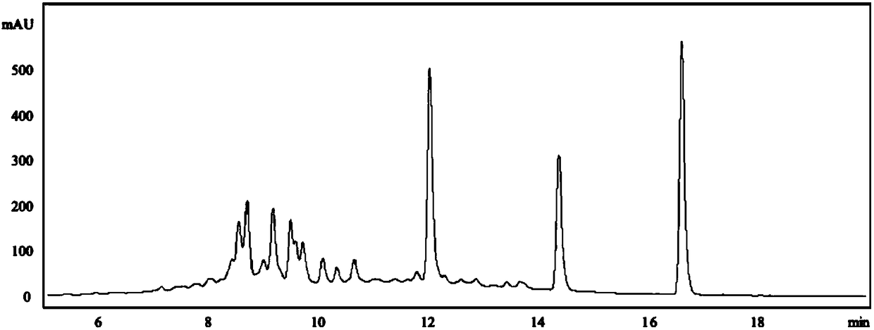 Skin care agent containing ginseng extract