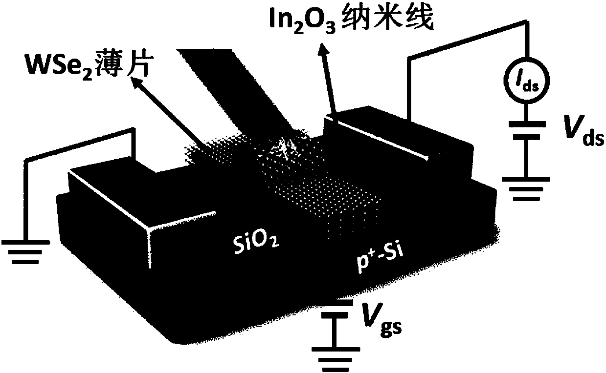 WSe2 thin sheet/In2O3 nanowire composite-structure near-infrared photoelectric detector and fabrication method thereof