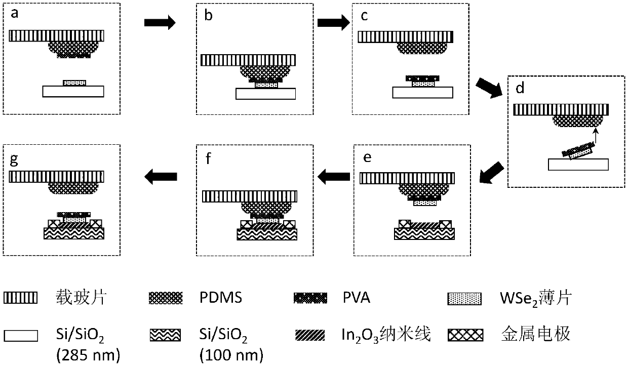 WSe2 thin sheet/In2O3 nanowire composite-structure near-infrared photoelectric detector and fabrication method thereof