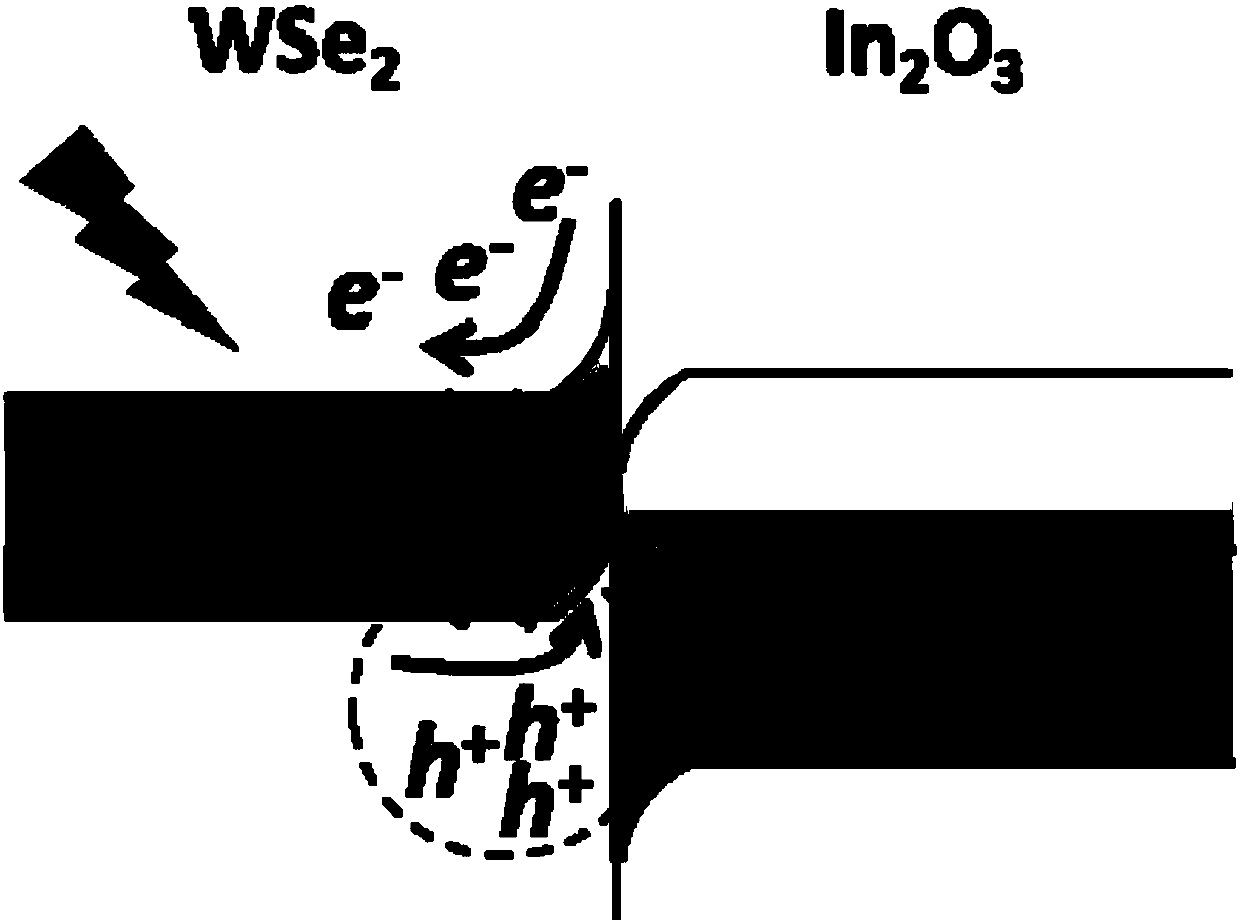 WSe2 thin sheet/In2O3 nanowire composite-structure near-infrared photoelectric detector and fabrication method thereof