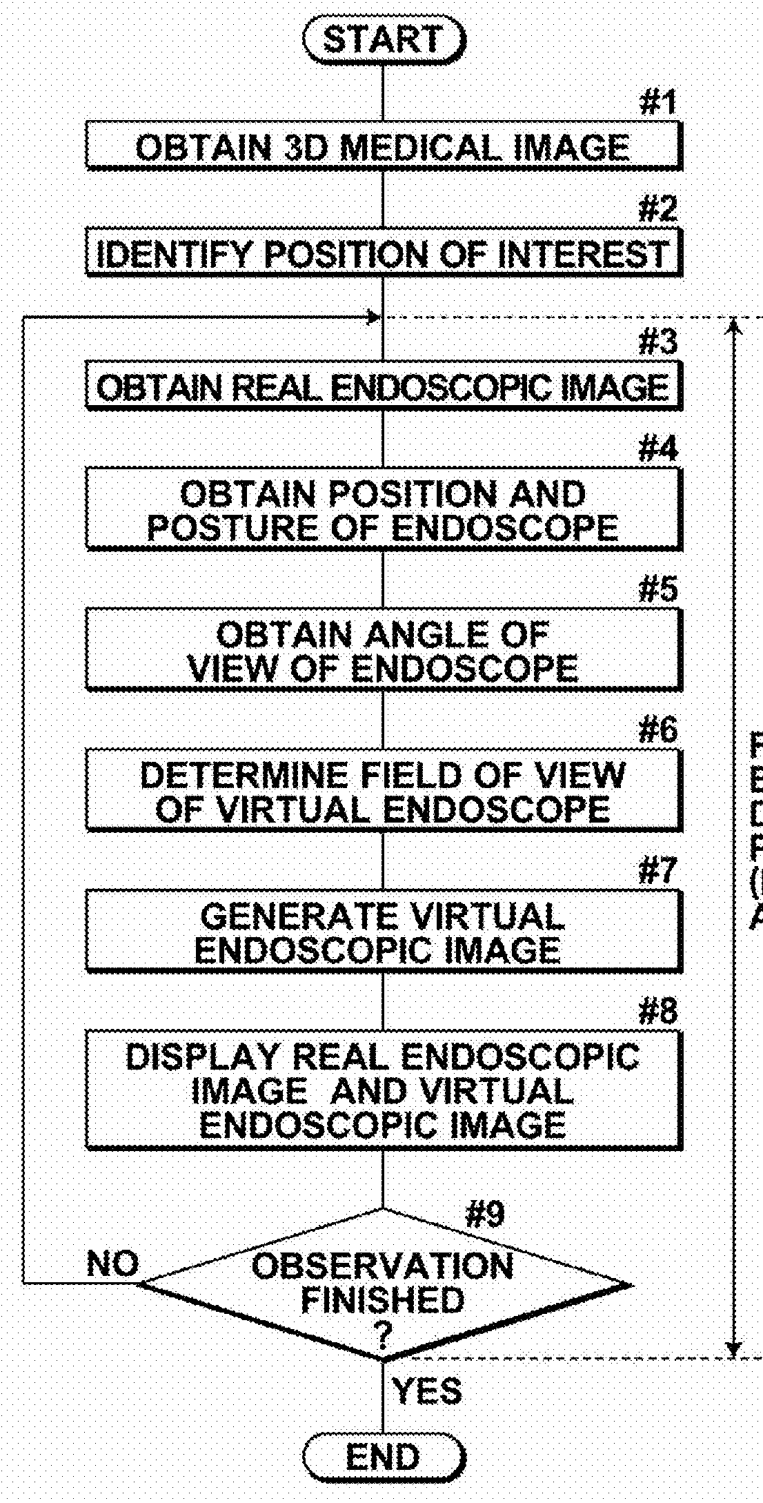 Endoscopic observation support system